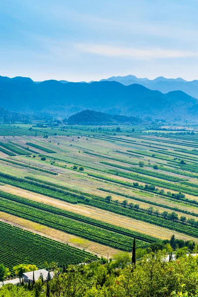 Panoramautsikt över den gröna dalen med rik variation av grödor med blå berg och himlen i fjärran. — Stockfoto