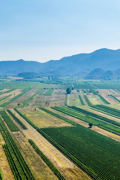 Panoramatický pohled na zelené údolí s bohatou škálu plodin s modrými vrchy a obloze v pozadí. — Stock fotografie