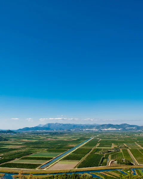 多量の水チャンネルと青い空の上で緑豊かなフィールド。南クロアチア、ダルマチアのワンシーン. — ストック写真