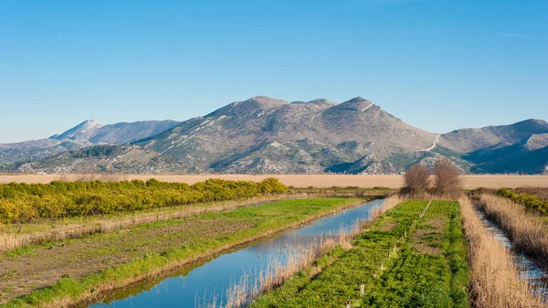 De rijke groene velden met veel water kanalen en blauwe hemel boven. scène uit het zuiden van Kroatië, Dalmatië. — Stockfoto