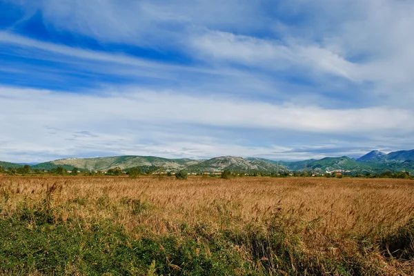 Valle con ricchi campi coltivati e cielo azzurro nuvoloso — Foto Stock