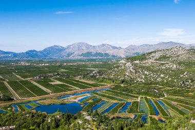 bitkileri ve mavi gökyüzü ile verimli neretva Vadisi
