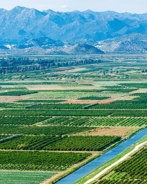 Vale fértil com campos de cultivo — Fotografia de Stock