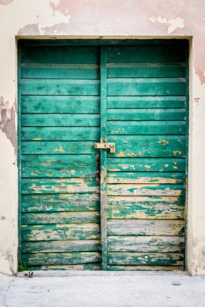 Old rustic wooden doors painted in green — Stock Photo, Image