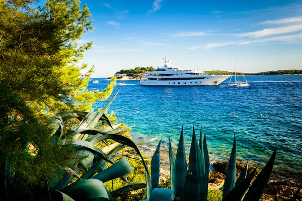 yeşilliklerle çevrili güzel bir koyda demirli lüks yat