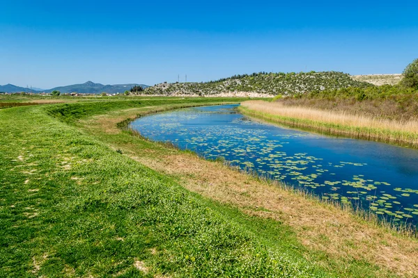 Vreedzame creek stroomt door de groene vlaktes — Stockfoto