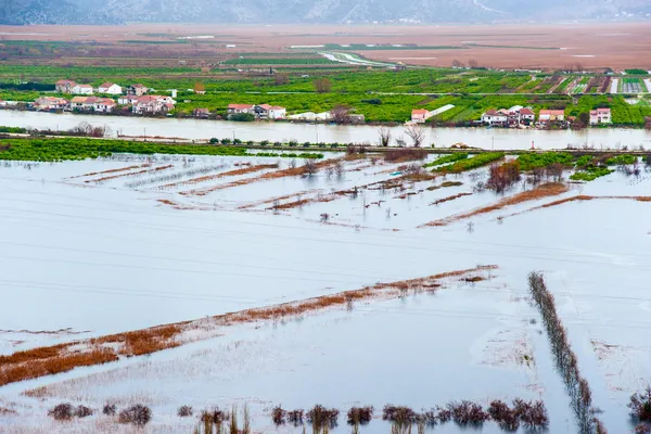 su altındaki alanlar ve bitkileri