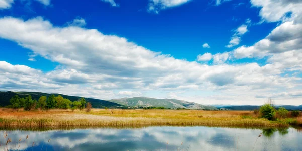 Dreamy swamp landscape with overcast skies above — Stock Photo, Image