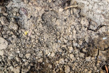 toprak doku arka plan