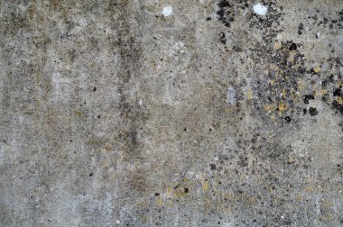 beautiful abstract grungy blue stucco wall background. texture backdrop. bump or displacement map.