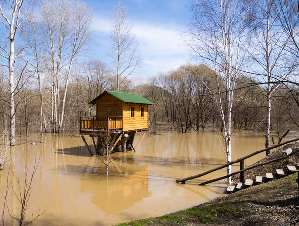 su baskını ve ağaç evi