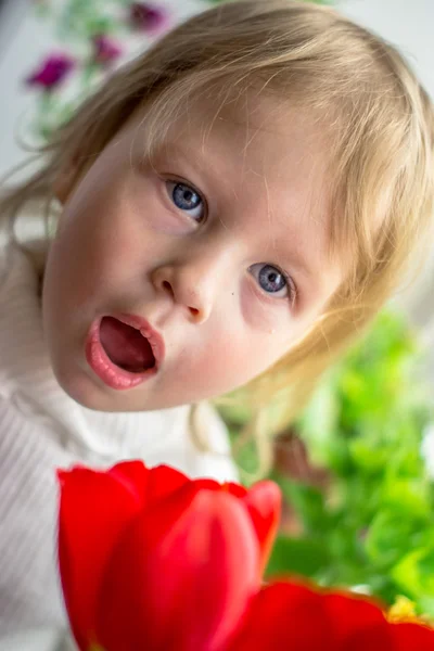 kırmızı lale güzel bebek