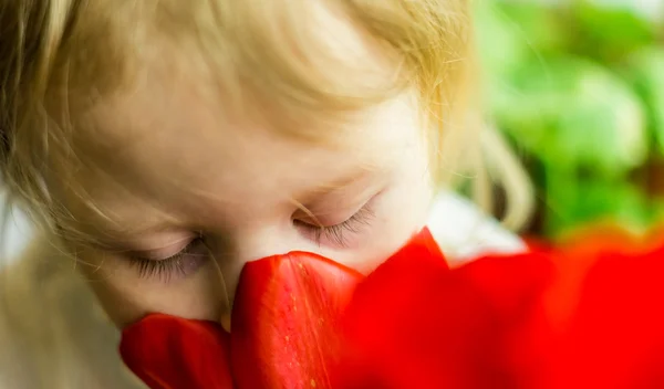 kırmızı lale güzel bebek