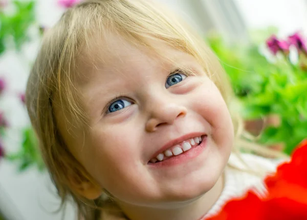 kırmızı lale güzel bebek