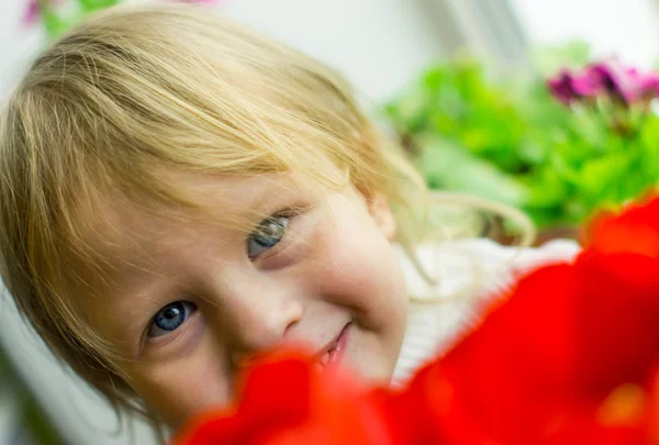 Beautiful baby of red tulips — Stock Photo, Image