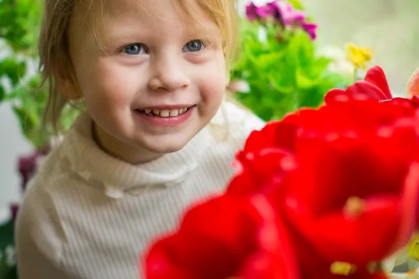 Beautiful baby of red tulips — Stock Photo, Image