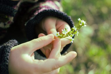 Çocuk elinde narin çiçek