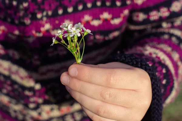 Çocuk elinde narin çiçek
