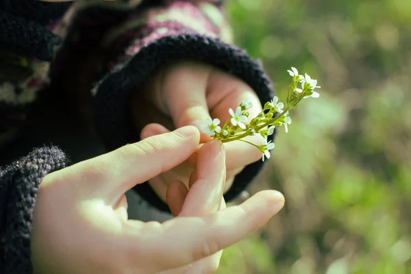 Çocuk elinde narin çiçek