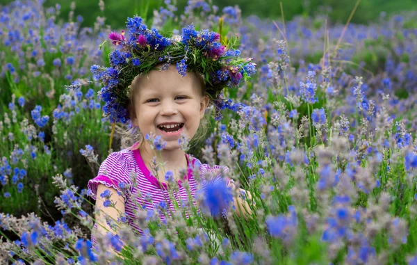 Lavanta çiçekleri arasında güzel bir kız