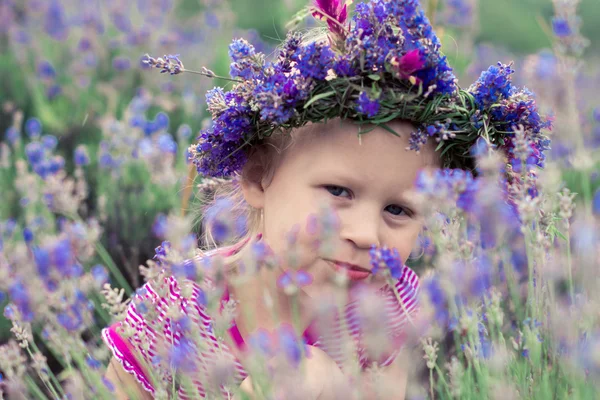 Lavanta çiçekleri arasında güzel bir kız