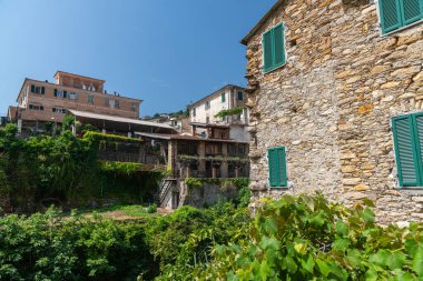 Imperia, Liguria, İtalya yakınlarındaki güzel bir köy olan Dolcedo 'da Idyllic Archways ve kaldırımtaşlı sokaklar