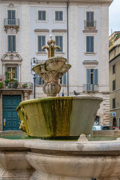 カンポ フィオーリ近くのファルネーゼ広場 Farnese Square からは 1626年に建築家ジロラモ レインアルディとサンタ ブリジダ教会によって噴水が建てられました — ストック写真