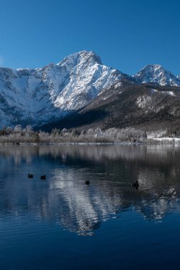 Almtal, Salzkammergut 'taki Kış Harikalar Diyarı gibi. Donmuş ağaçlar, karlı dağlar, kristal gibi berrak kayıkhanesi olan Almsee, Totes Gebirge, Yukarı Avusturya