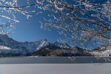 Almsee, Almtal, Salzkammergut boyunca brunchlar ve yapraklar
