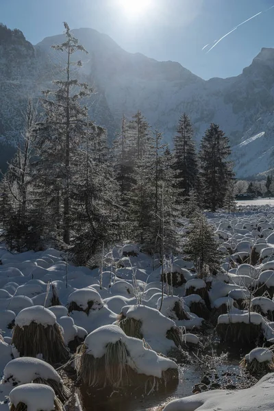 Drömlikt Vinterunderland Almtal Salzkammergut Frysta Träd Almsee Totes Gebirge Oberösterreich — Stockfoto