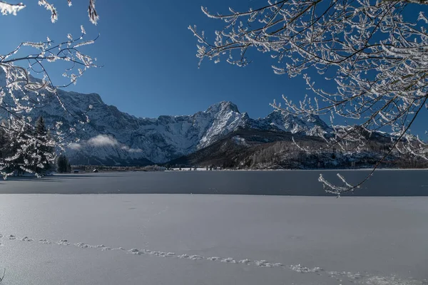 Maravilhas Inverno Almtal Salzkammergut Árvores Congeladas Montanhas Cobertas Neve Almsee — Fotografia de Stock