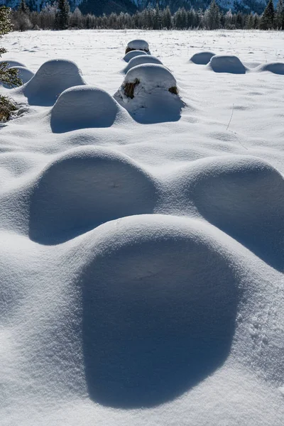 アルマルタルの夢のような冬の不思議の国 ザルツカンマーグート 凍った木 雪に覆われた葦の草 トーツ ゲブリッジ オーストリア北部 — ストック写真