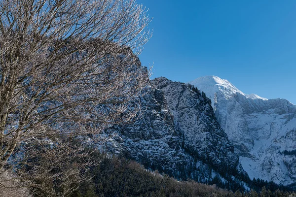 Dreamlike Winter Wonderland Almtal Salzkammergut Frozen Trees Almsee Totes Gebirge — Stock Photo, Image