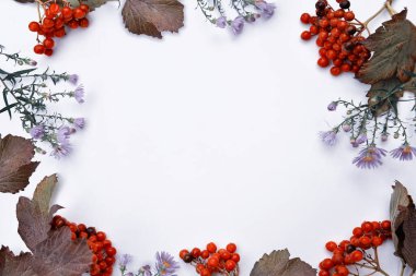 Böğürtlen, çiçek ve yapraklardan oluşan bir çerçeve beyaz arka planda