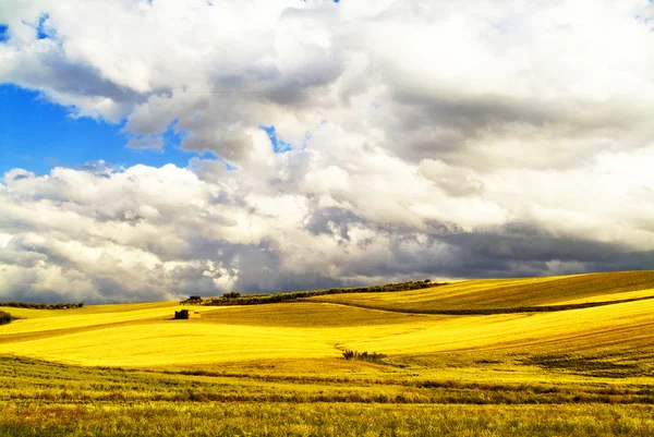 Campagne Pouilles Photo De Stock