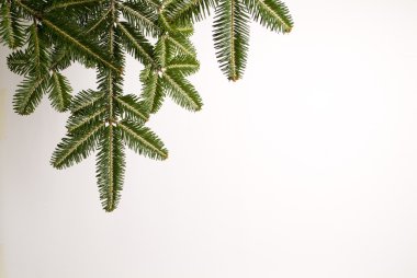 Natale,