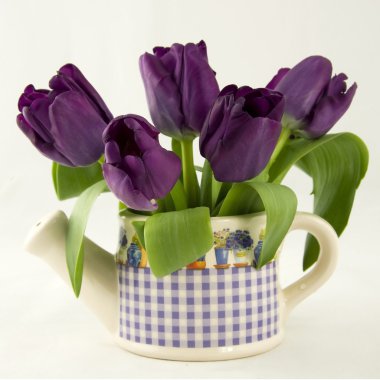 lalelerle dolu bir hayat