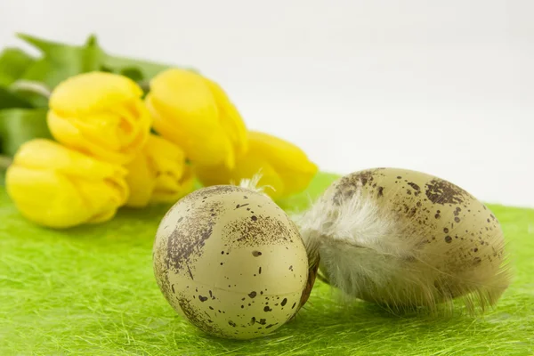 Osterkomposition mit Eiern und Tulpen — Stockfoto