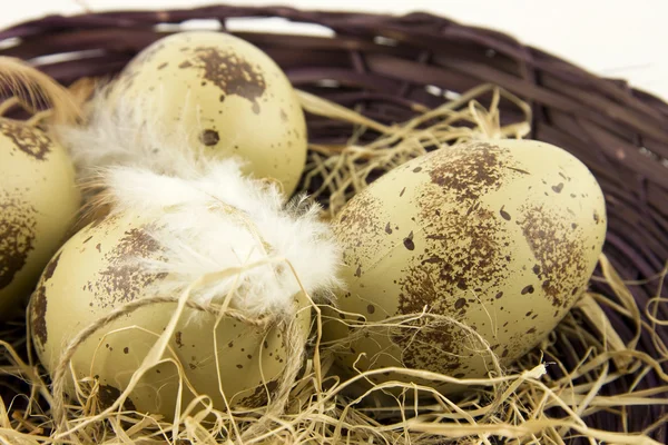 Huevos de Pascua — Foto de Stock