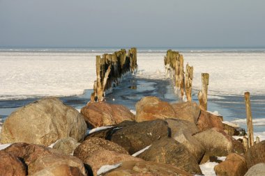 eski köstebek kışın Baltık Denizi