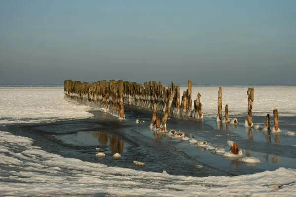 Gamla mullvad på Östersjön i vinter — Stockfoto