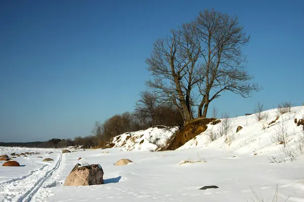 Zimowy krajobraz wybrzeża — Zdjęcie stockowe