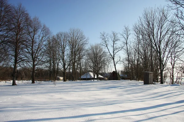 Paisagem inverno — Fotografia de Stock