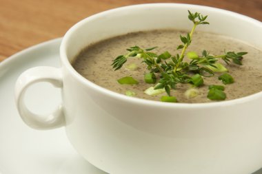 kremalı mantar çorbası yeşil soğan ile