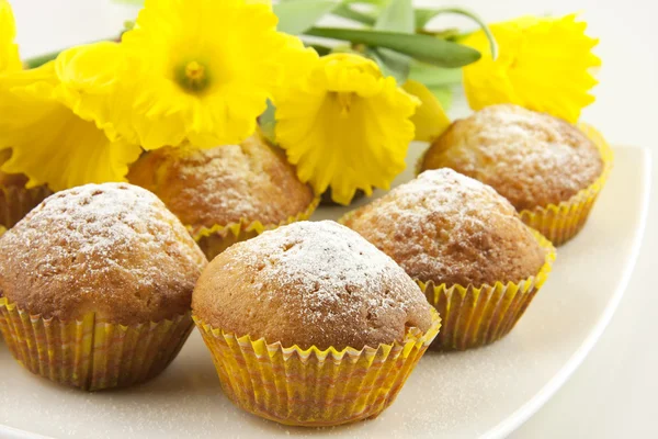 Curd cupcakes with daffodils — Stock Photo, Image