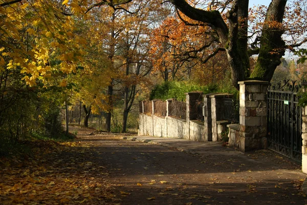 Herbststraße in der Stadt — Stockfoto