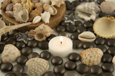 Natürmort kabukları ve mum