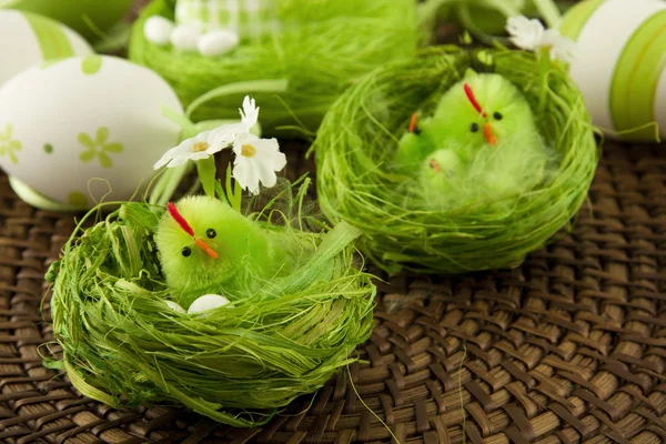 Easter decoration with chicken and color eggs — Stock Photo, Image