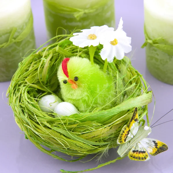 Easter decoration with chicken — Stock Photo, Image