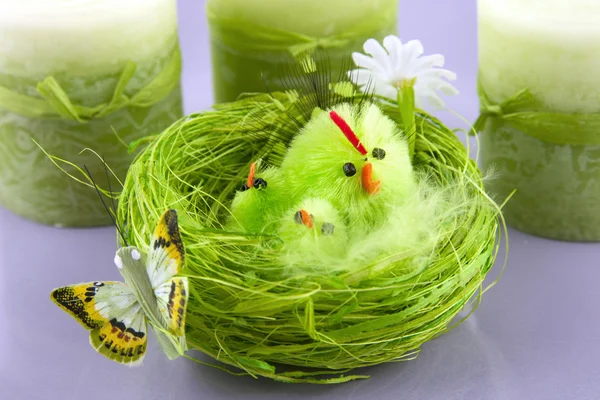 Easter decoration with chicken — Stock Photo, Image